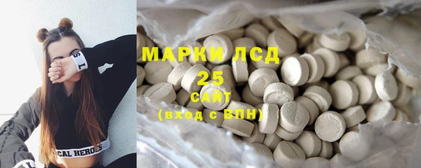 гидра Карпинск