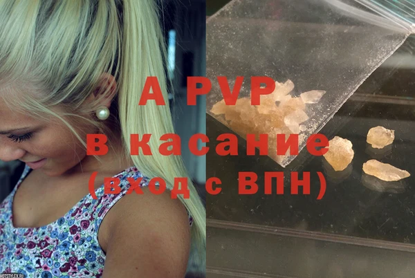 гидра Карпинск