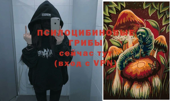 гидра Карпинск