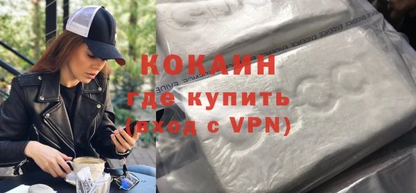 гидра Карпинск