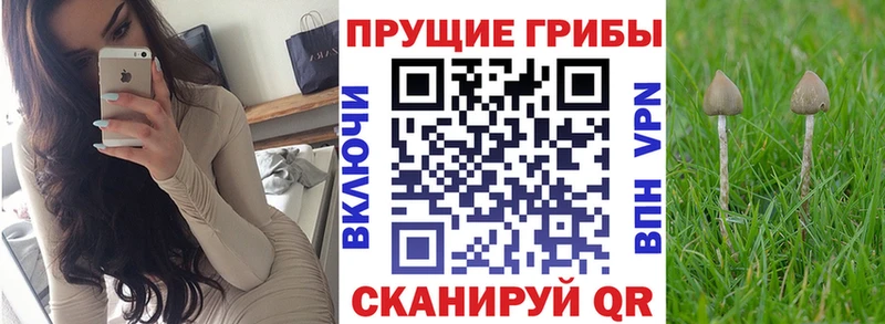Галлюциногенные грибы мицелий Купить закладки Лахденпохья
